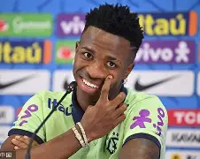 维尼修斯刷新里程碑，山东泰山首回合力克洛杉矶湖人，晋级概率达90％的简单介绍